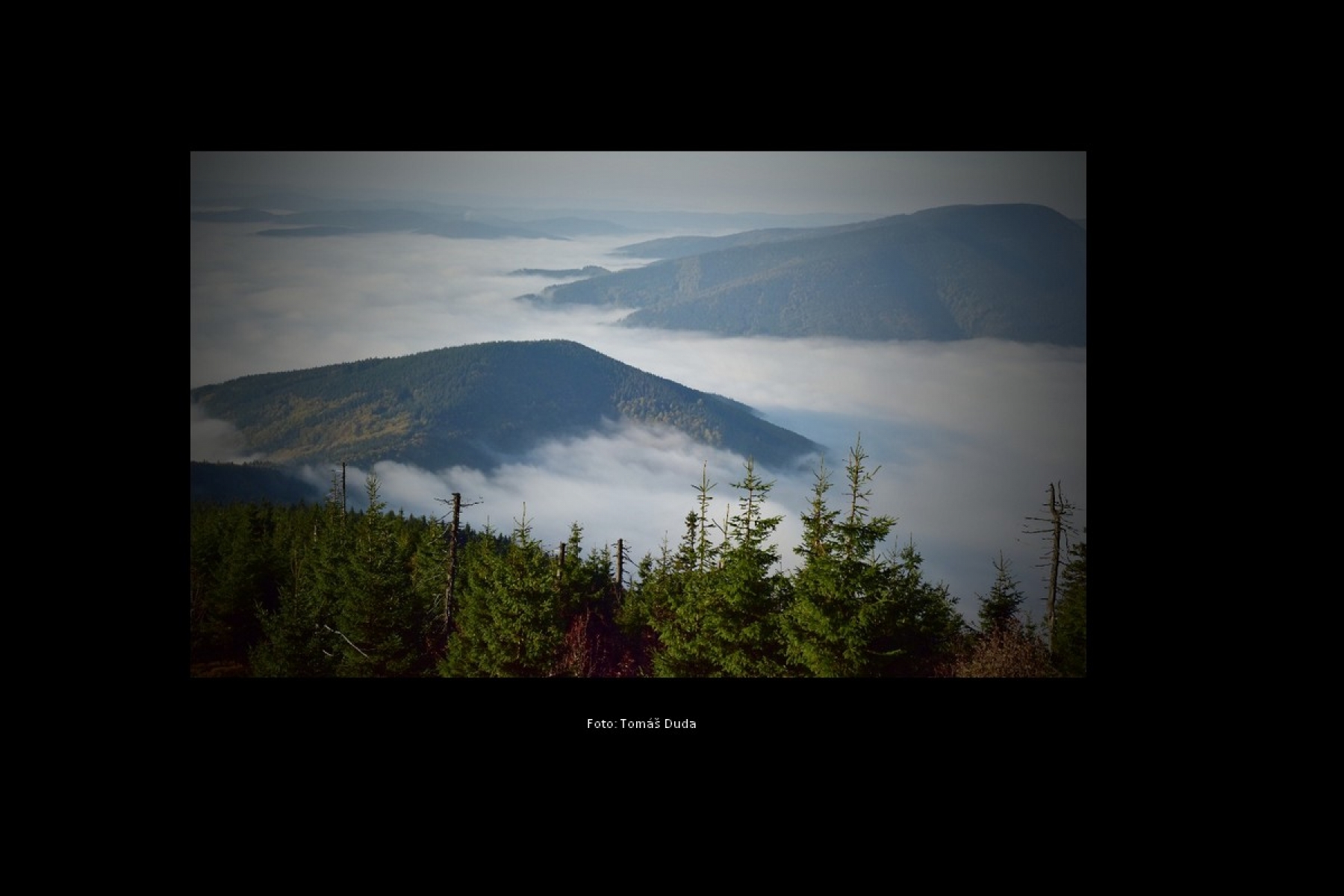 Spolek havířovských fotografů z.s.