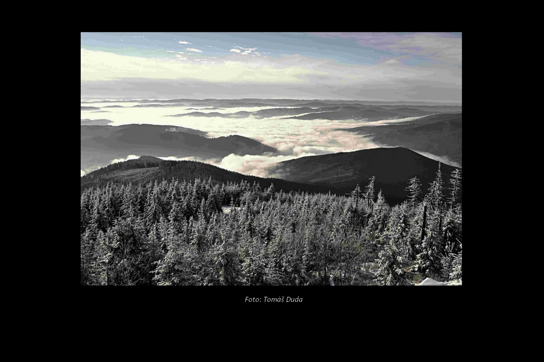 Spolek havířovských fotografů z.s.