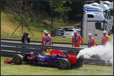 D. Ricciardo - Red Bull 2