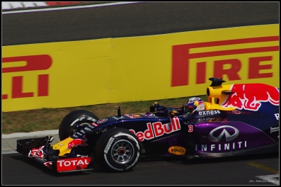 D. Ricciardo - Red Bull